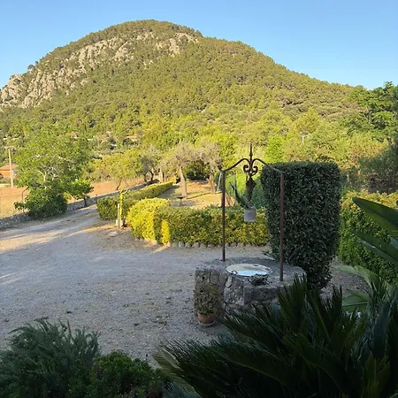 Nillo * Pollença